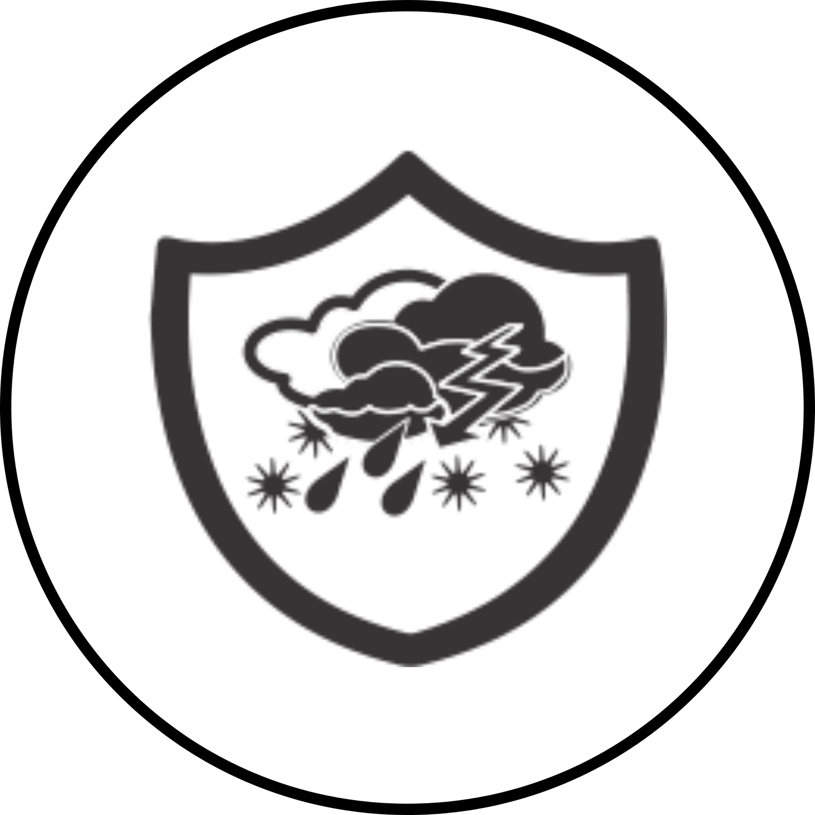 Adverse weather protection Icon